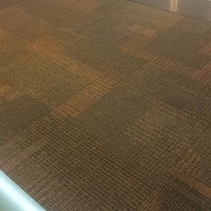 Meet your Posher, Lupe